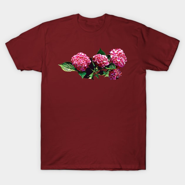 Pink Hydrangea T-Shirt by SusanSavad